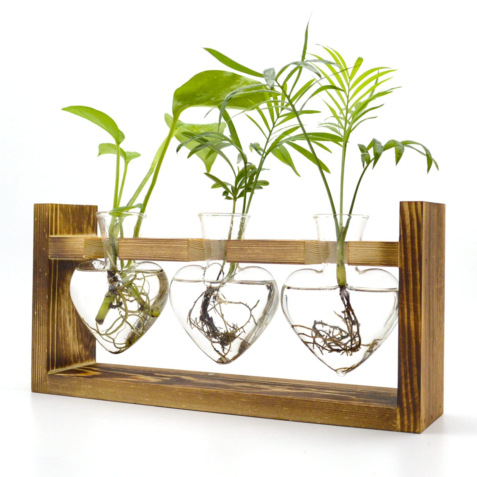 HASTHIP® Plant Terrarium with Wooden Stand HASTHIP® Plant Terrarium with Wooden Stand